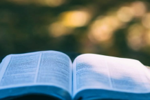 Bücher für die Hängematte: Sommerlektüre aus der Oberpfalz